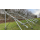 Freiland Aufständerung für 18 Solarmodule | Alpin | 25°