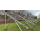 Freiland Aufständerung für 14 Solarmodule Genehmigungsfrei*