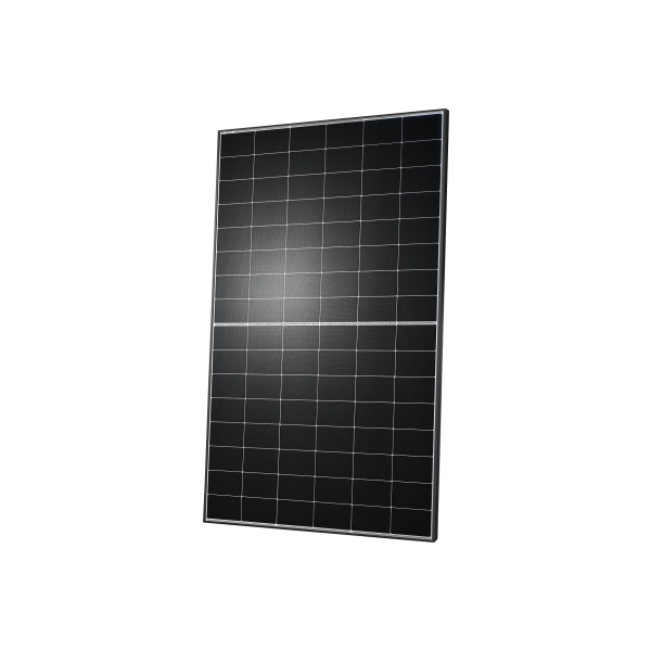 Q Cells Solarmodul Q.TRON CLASSIC 445 Wp [Bifazial | Glas-Glas]